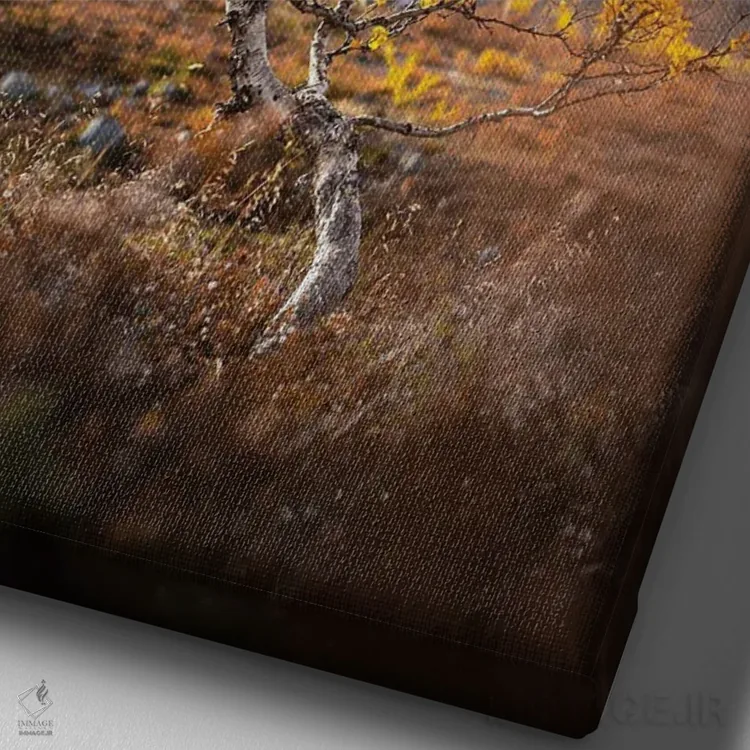 تابلو دکوراتیو تنها اثر لاری لوهی - نمای نزدیک بافت بوم