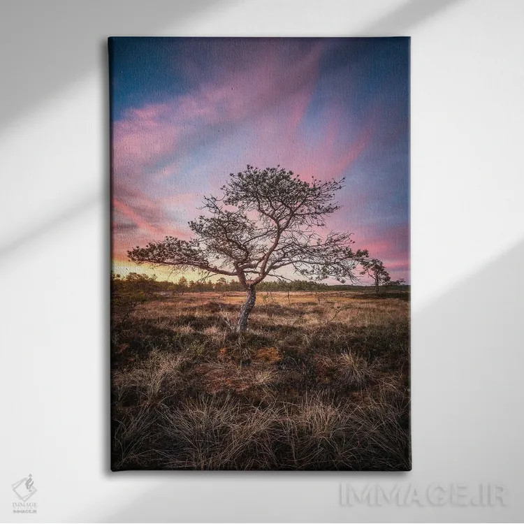 تابلو دکوراتیو تورن سوئو اثر لاری لوهی - نمای روبهرو روی دیوار