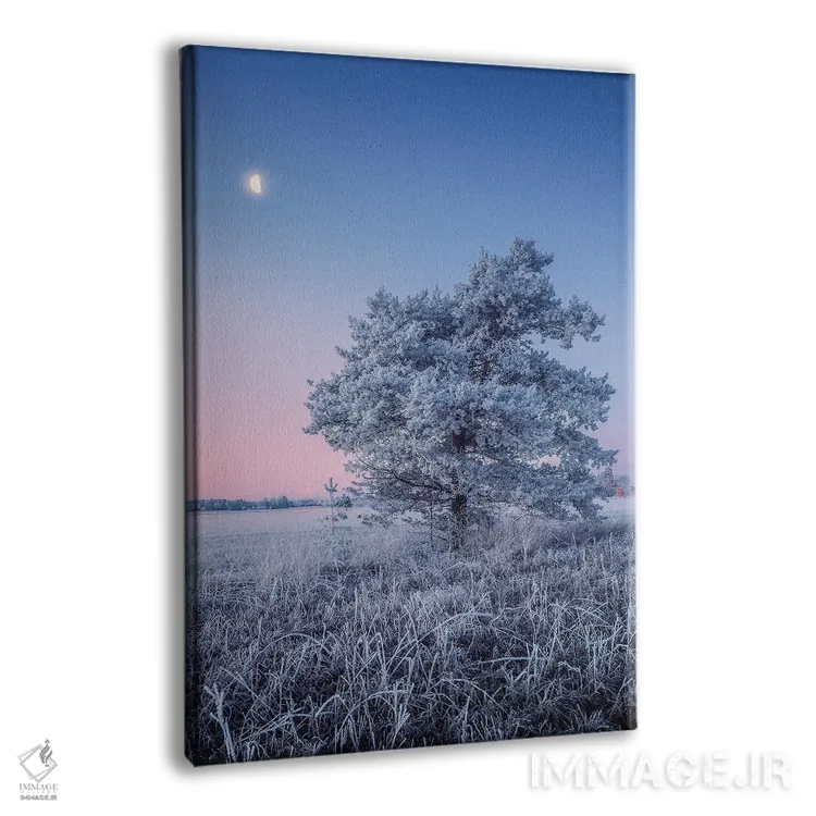 تابلو دکوراتیو یخ زدگی شبنم اثر لاری لوهی - نمای پرسپکتیو محصول