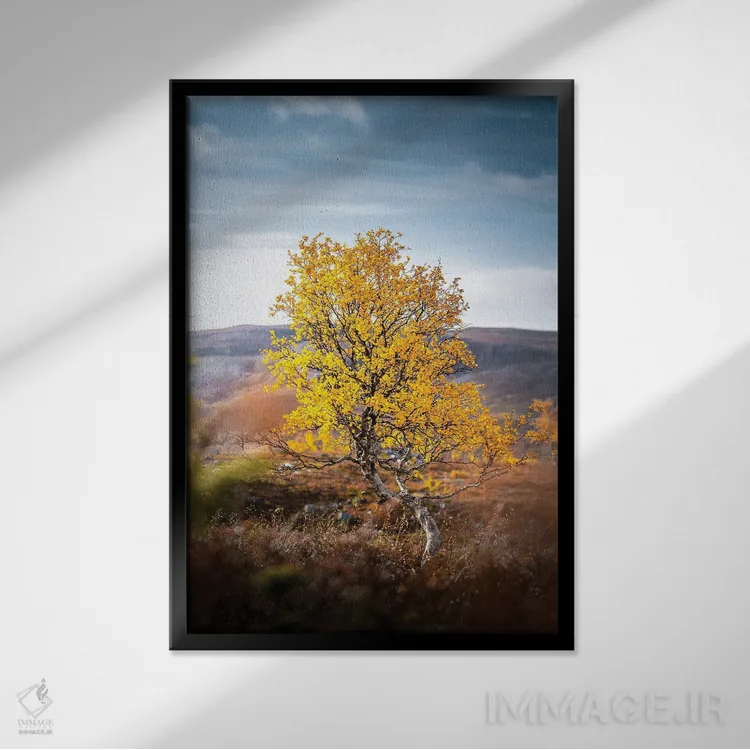 تابلو دکوراتیو تنها اثر لاری لوهی - نمای قابدار مشکی