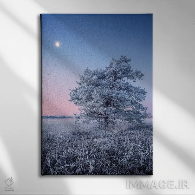 تابلو دکوراتیو یخ زدگی شبنم اثر لاری لوهی - نمای روبهرو روی دیوار