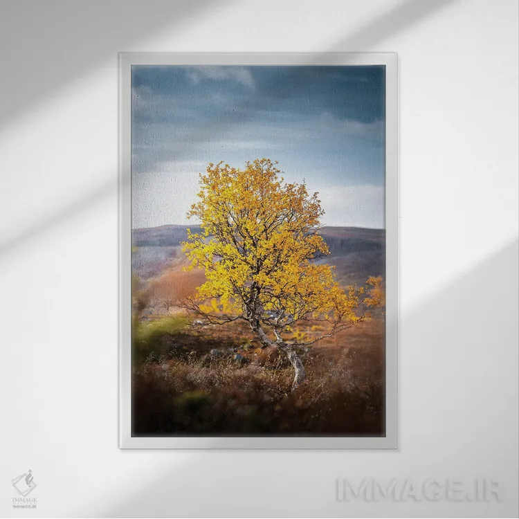 تابلو دکوراتیو تنها اثر لاری لوهی - نمای قابدار سفید