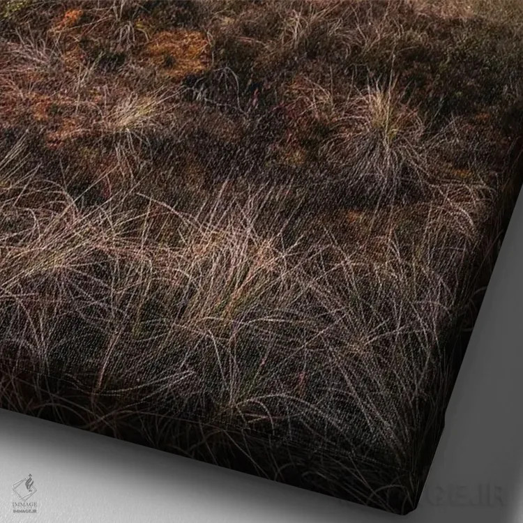 تابلو دکوراتیو تورن سوئو اثر لاری لوهی - نمای نزدیک بافت بوم