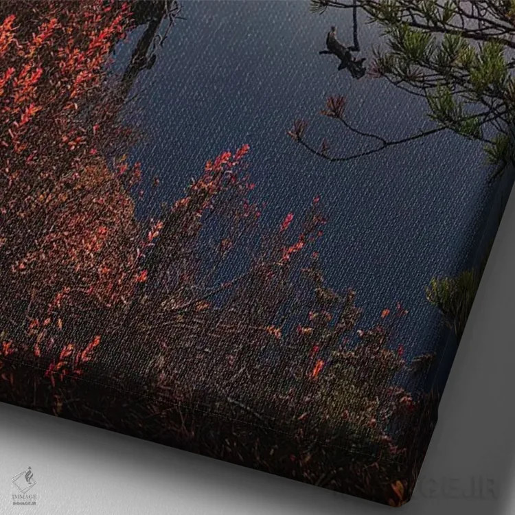 تابلو دکوراتیو دستیابی اثر لاری لوهی - نمای نزدیک بافت بوم