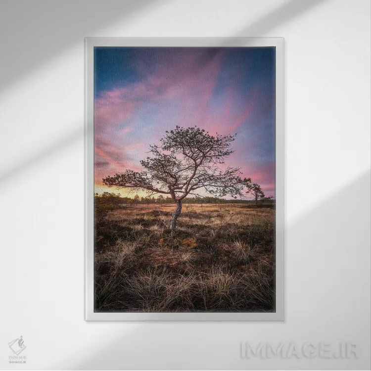 تابلو دکوراتیو تورن سوئو اثر لاری لوهی - نمای قابدار سفید