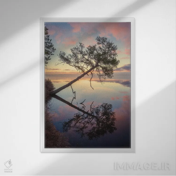 تابلو دکوراتیو خمیده اثر لاری لوهی - نمای قابدار سفید