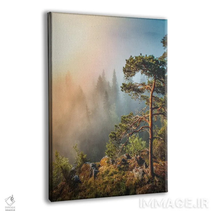 تابلو دکوراتیو مه صبحگاهی اثر لاری لوهی - نمای پرسپکتیو محصول