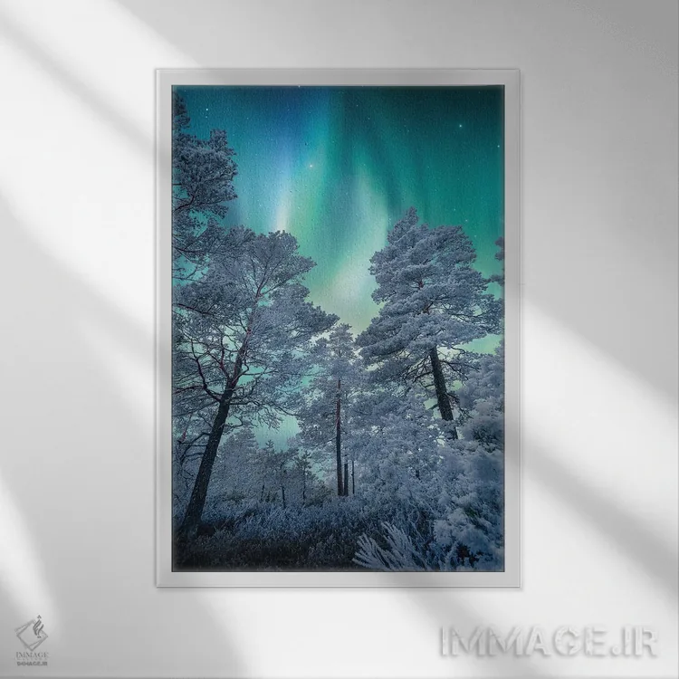 تابلو دکوراتیو جادوی زمستان اثر لاری لوهی - نمای قابدار سفید