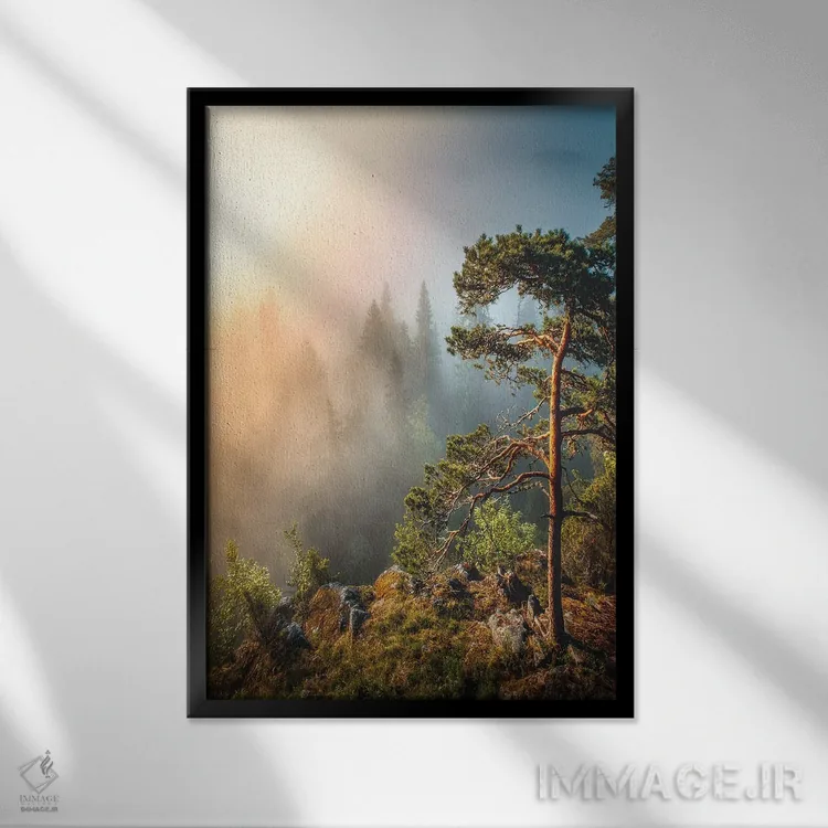 تابلو دکوراتیو مه صبحگاهی اثر لاری لوهی - نمای قابدار مشکی