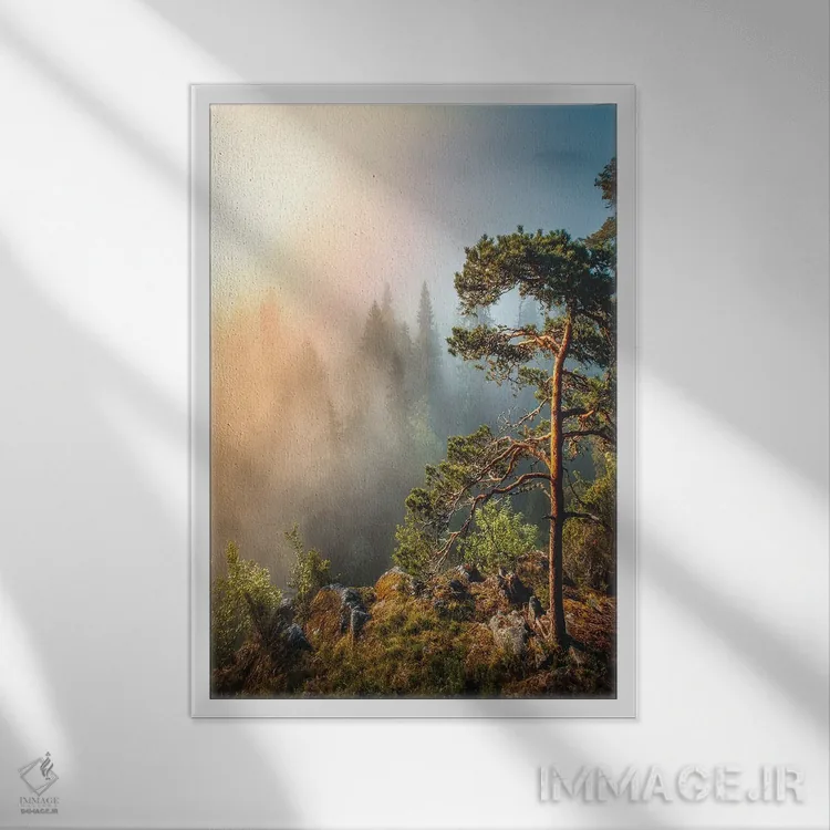 تابلو دکوراتیو مه صبحگاهی اثر لاری لوهی - نمای قابدار سفید