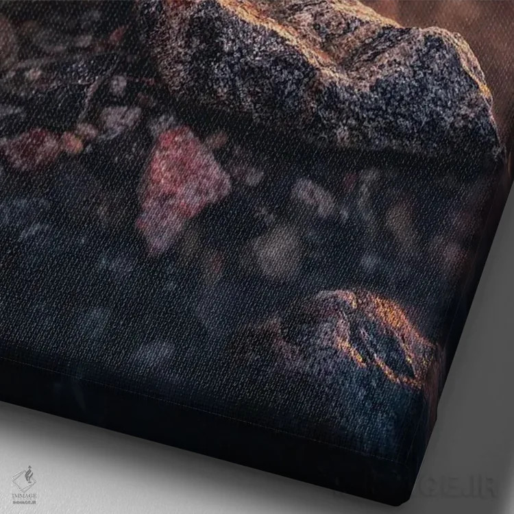 تابلو دکوراتیو تقارن اثر لاری لوهی - نمای نزدیک بافت بوم