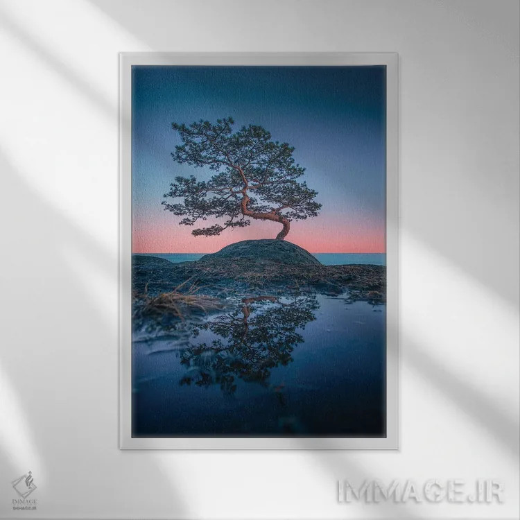 تابلو دکوراتیو بونسای اثر لاری لوهی - نمای قابدار سفید