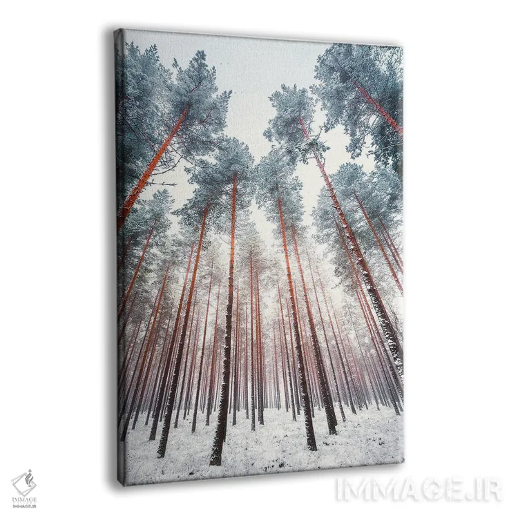 تابلو دکوراتیو کاج های یخ زده اثر لاری لوهی - نمای پرسپکتیو محصول