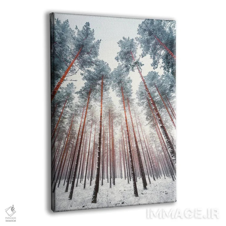 تابلو دکوراتیو کاج های یخ زده اثر لاری لوهی - نمای پرسپکتیو محصول