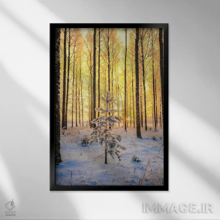 تابلو دکوراتیو کاج تنها اثر لاری لوهی - نمای قابدار مشکی