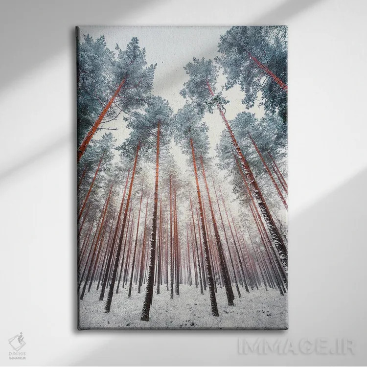 تابلو دکوراتیو کاج های یخ زده اثر لاری لوهی - نمای روبهرو روی دیوار