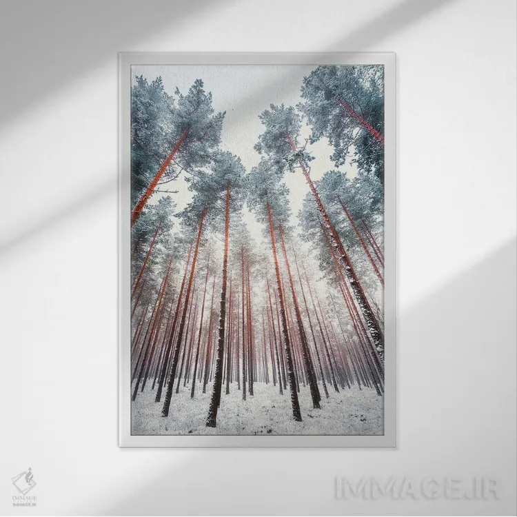 تابلو دکوراتیو کاج های یخ زده اثر لاری لوهی - نمای قابدار سفید