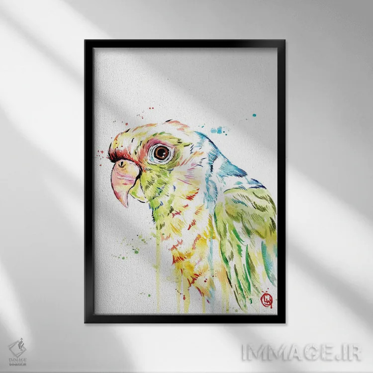 تابلو دکوراتیو طوطی اثر لیزا وایت هاوس - نمای قابدار مشکی