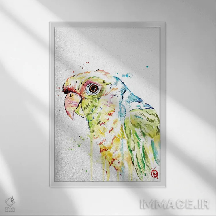 تابلو دکوراتیو طوطی اثر لیزا وایت هاوس - نمای قابدار سفید