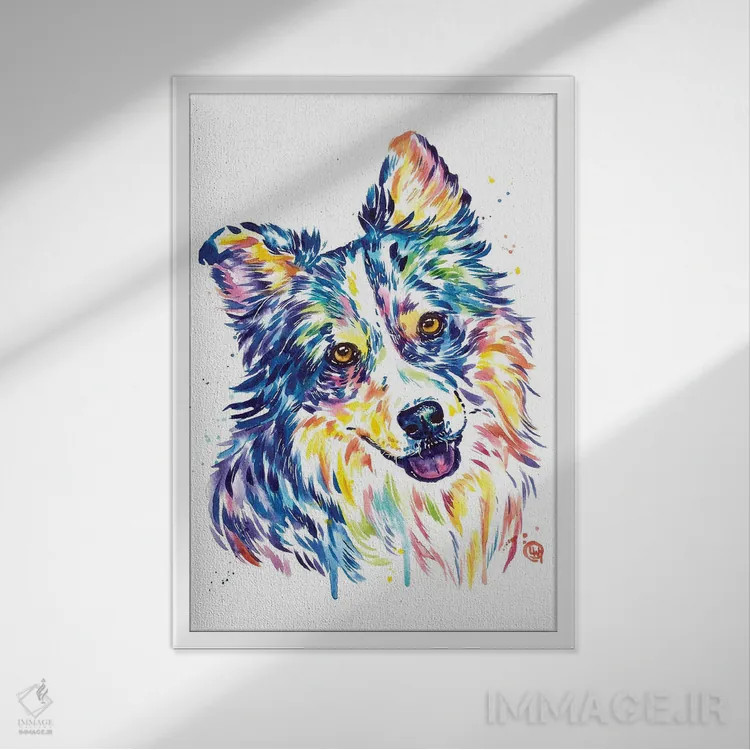 تابلو مدرن شپرد استرالیایی اثر لیزا وایت هاوس - نمای قابدار سفید