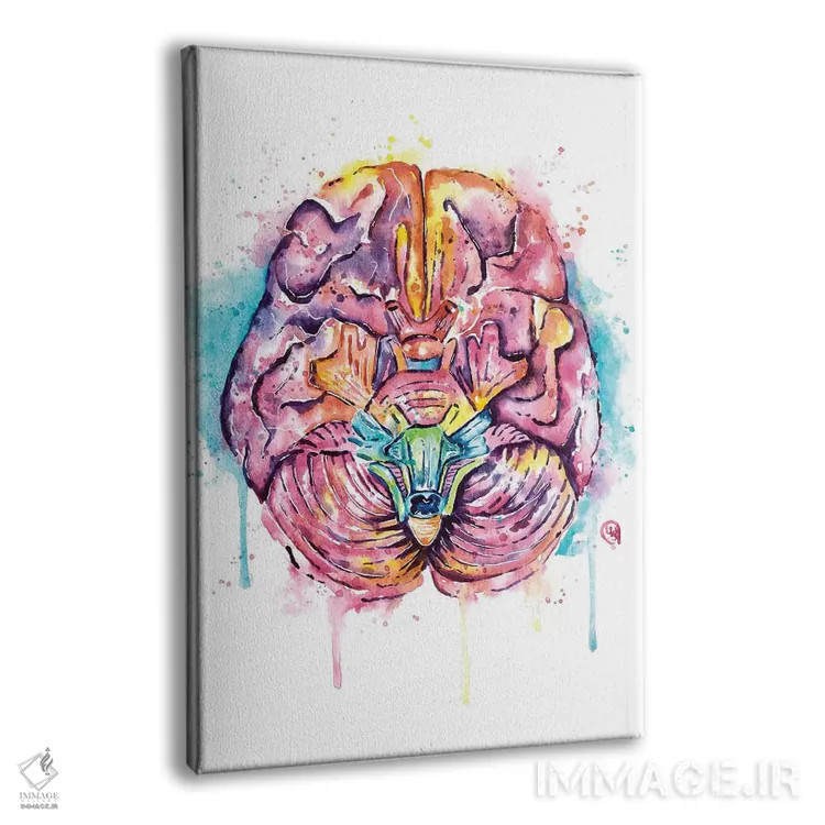 تابلو دکوراتیو مغز اثر لیزا وایت هاوس - نمای پرسپکتیو محصول