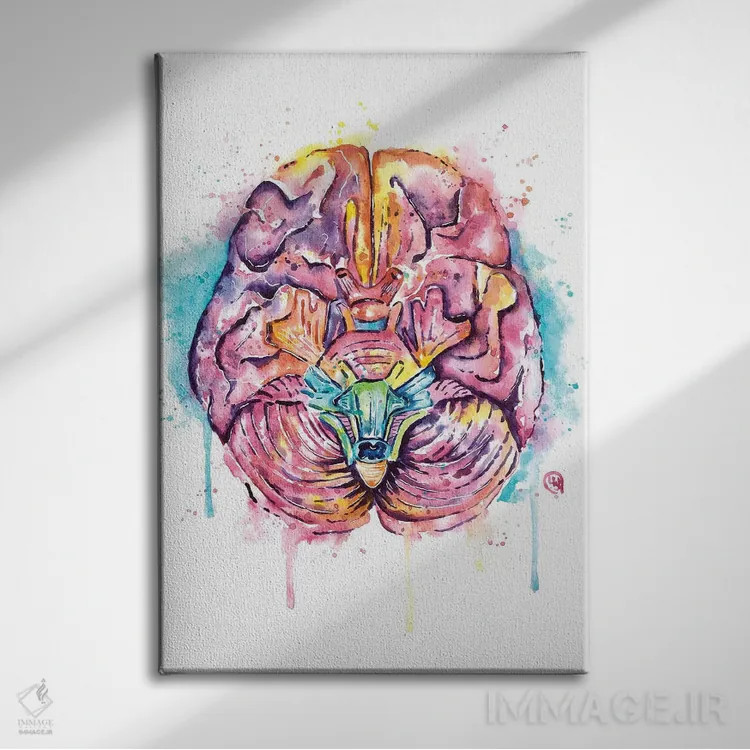 تابلو دکوراتیو مغز اثر لیزا وایت هاوس - نمای روبهرو روی دیوار