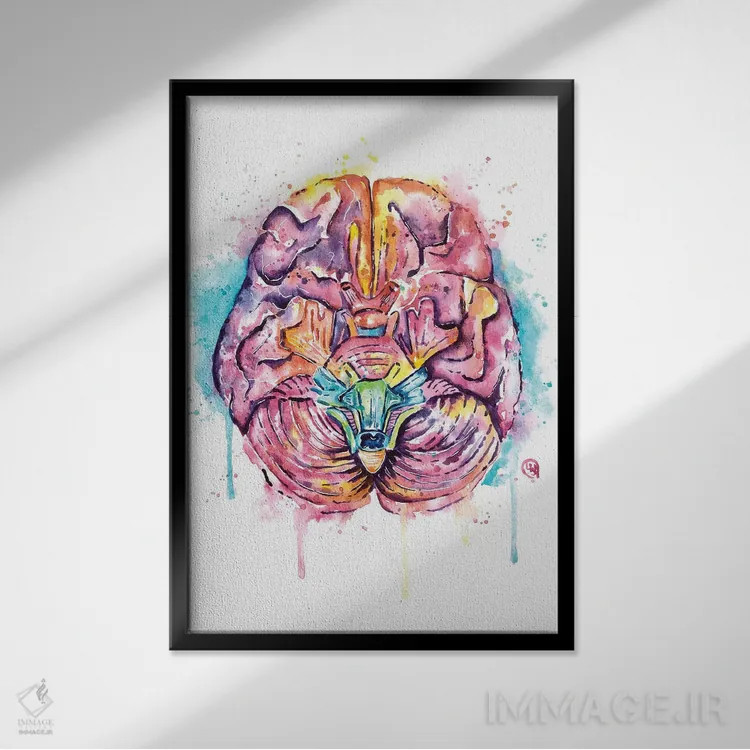 تابلو دکوراتیو مغز اثر لیزا وایت هاوس - نمای قابدار مشکی