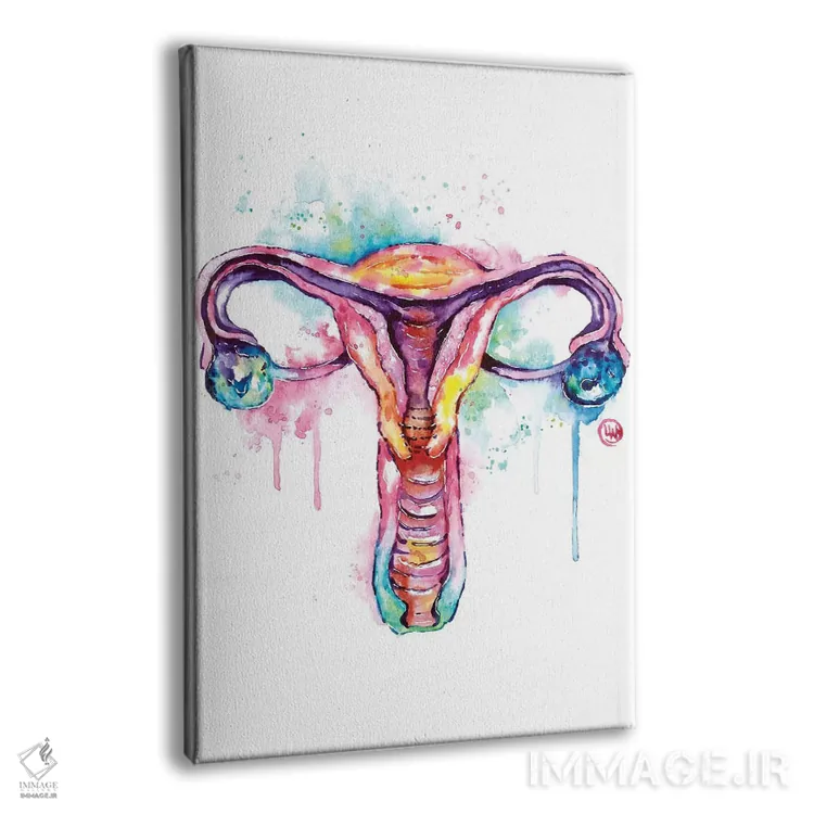 تابلو دکوراتیو رحم اثر لیزا وایت هاوس - نمای پرسپکتیو محصول