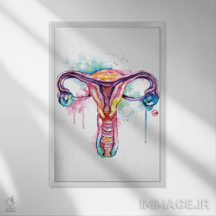 تابلو دکوراتیو رحم اثر لیزا وایت هاوس - نمای قابدار سفید