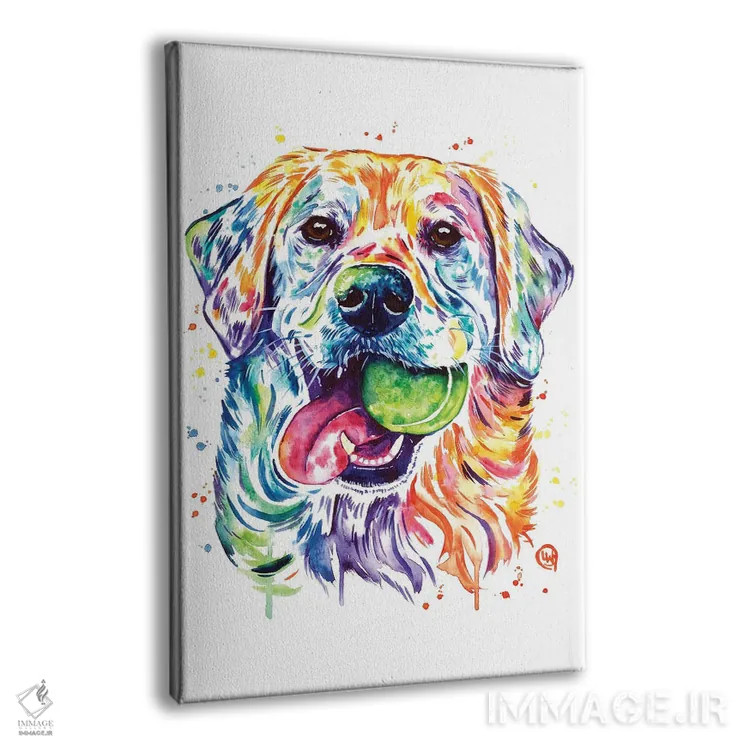 تابلو دکوراتیو توپ را پرت کن، نگیرش اثر لیزا وایت هاوس - نمای پرسپکتیو محصول