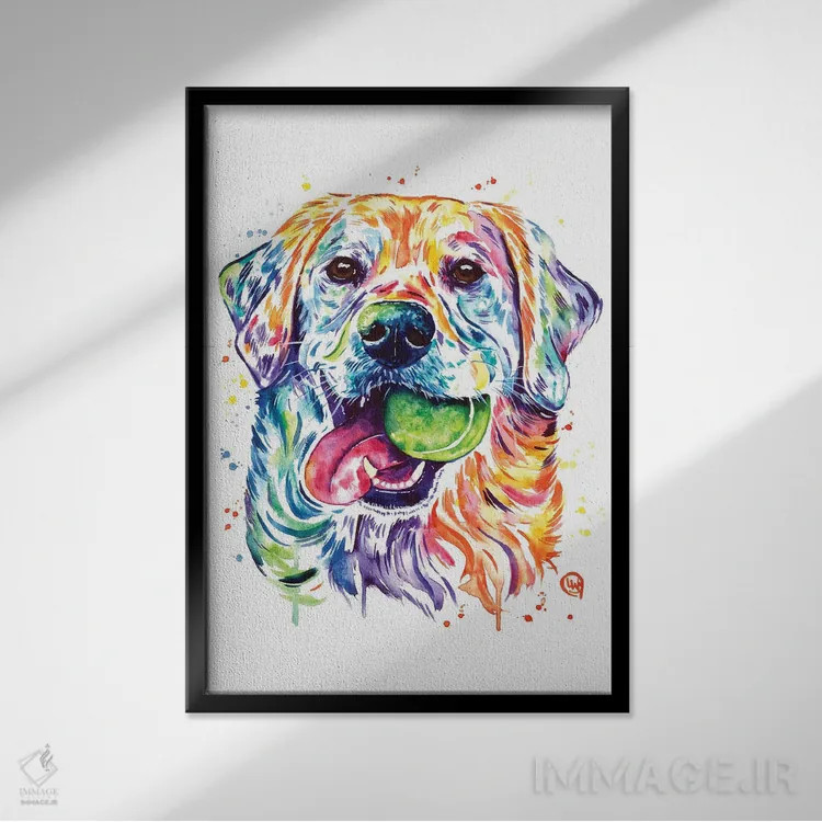 تابلو دکوراتیو توپ را پرت کن، نگیرش اثر لیزا وایت هاوس - نمای قابدار مشکی