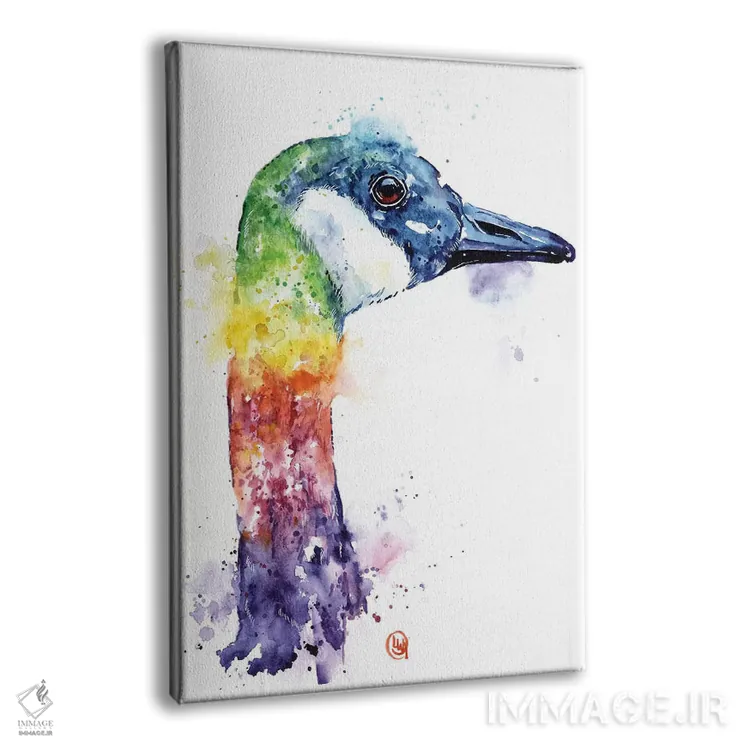 تابلو دکوراتیو غاز رنگارنگ کانادایی اثر لیزا وایت هاوس - نمای پرسپکتیو محصول