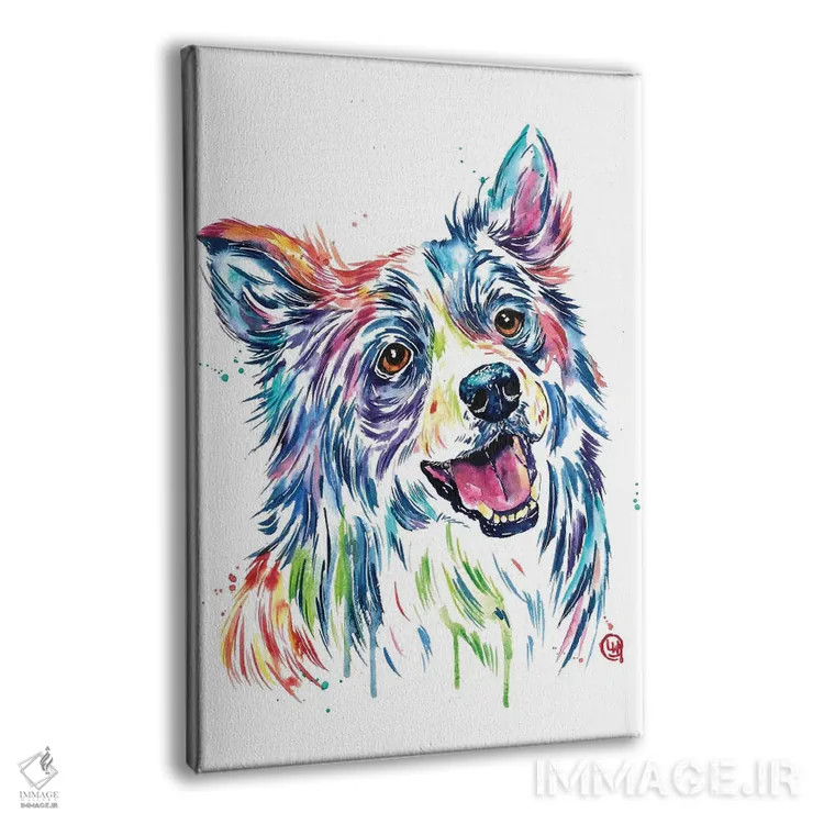 تابلو دکوراتیو بردر کولی اثر لیزا وایت هاوس - نمای پرسپکتیو محصول