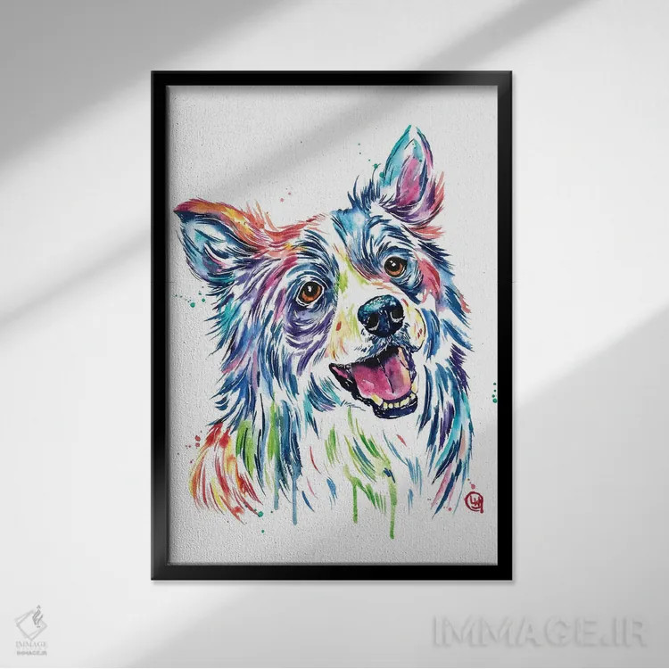 تابلو دکوراتیو بردر کولی اثر لیزا وایت هاوس - نمای قابدار مشکی