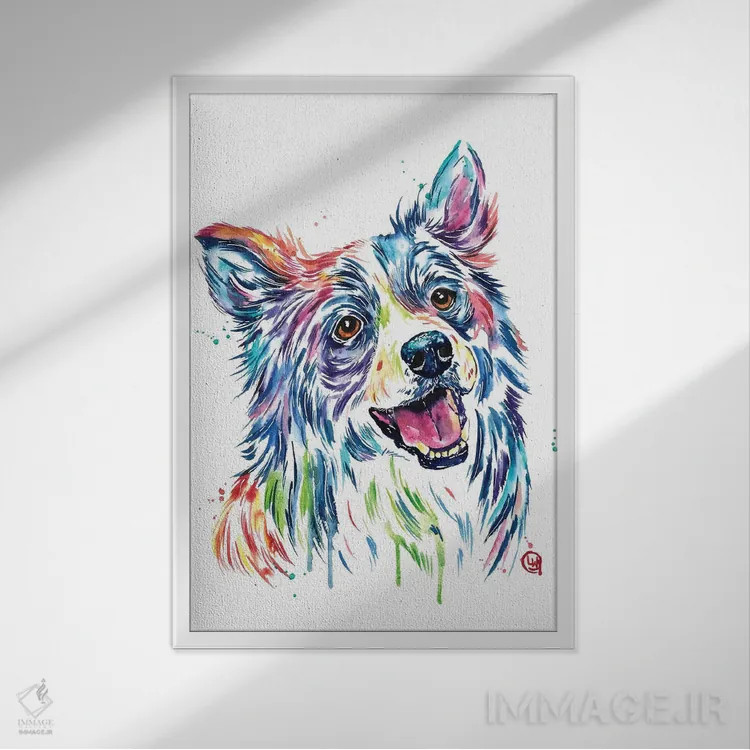 تابلو دکوراتیو بردر کولی اثر لیزا وایت هاوس - نمای قابدار سفید