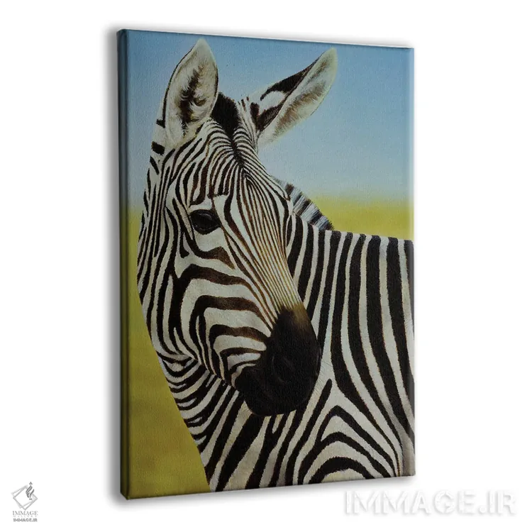 تابلو دکوراتیو پرتره گورخر اثر چارلز لین براگ - نمای پرسپکتیو محصول