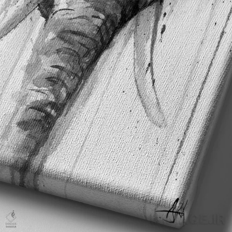 تابلو دکوراتیو کائلی سیاه و سفید اثر مارک آلانته - نمای نزدیک بافت بوم