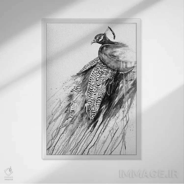 تابلو دکوراتیو نرگس سیاه و سفید اثر مارک آلانته - نمای قابدار سفید