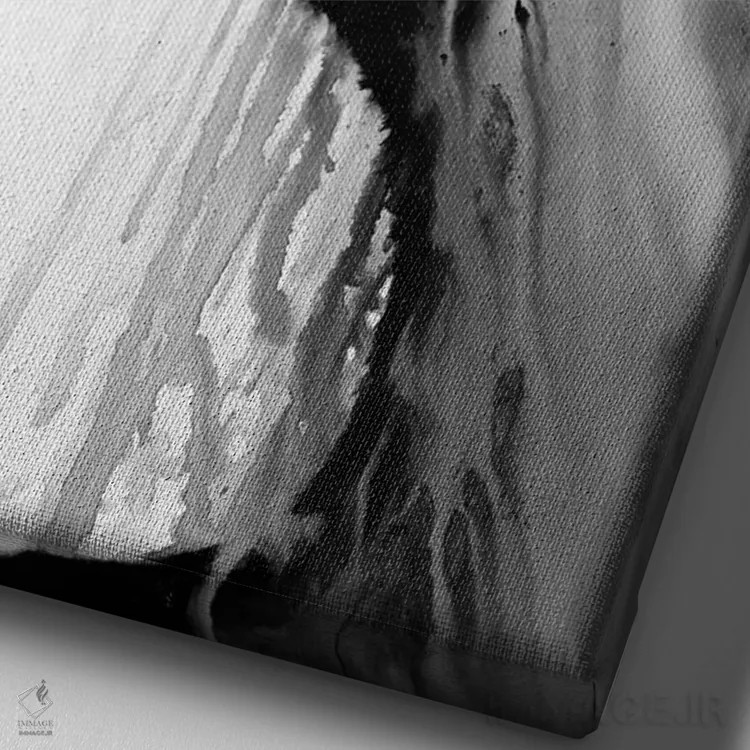 تابلو دکوراتیو اورفئوس سیاه و سفید اثر مارک آلانته - نمای نزدیک بافت بوم