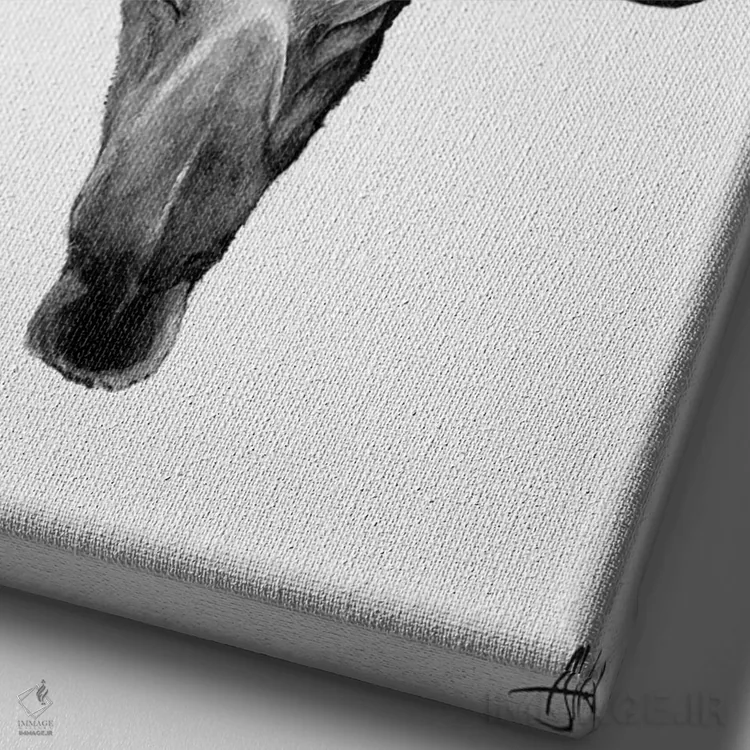 تابلو دکوراتیو ذن سیاه و سفید اثر مارک آلانته - نمای نزدیک بافت بوم