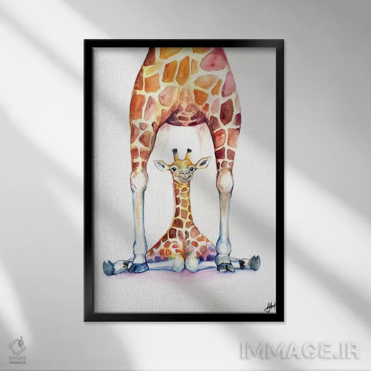 تابلو دکوراتیو زرافه های زیبا اثر مارک آلانته - نمای قابدار مشکی