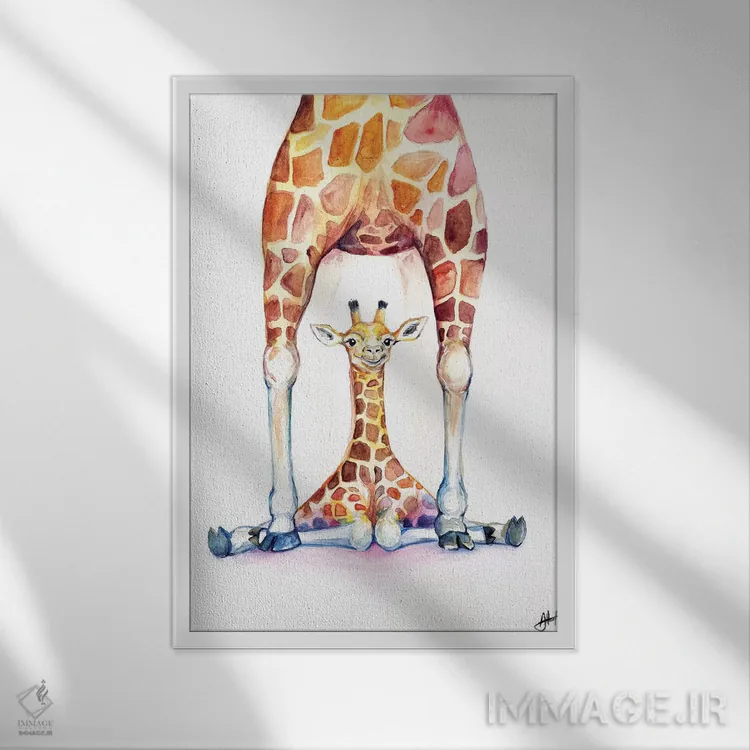 تابلو دکوراتیو زرافه های زیبا اثر مارک آلانته - نمای قابدار سفید