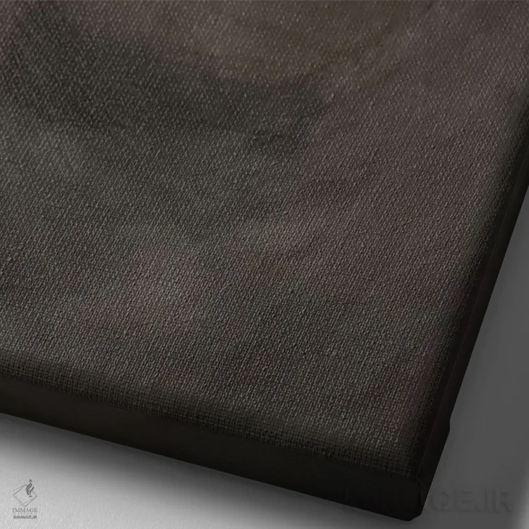 تابلو دکوراتیو سامسارا اثر مارک آلانته - نمای نزدیک بافت بوم