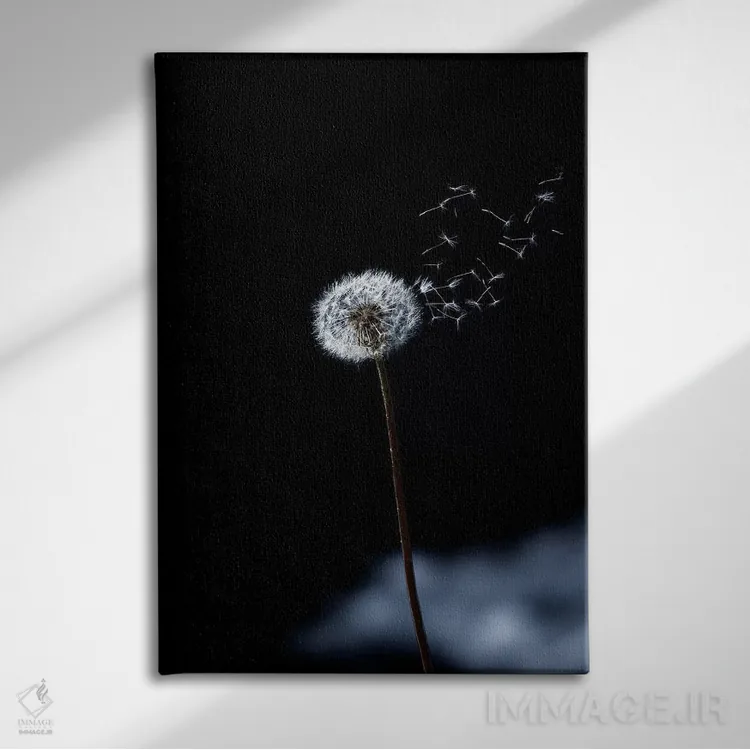 تابلو دکوراتیو تنها یک وزش باد اثر مارکو کارماسی - نمای روبهرو روی دیوار