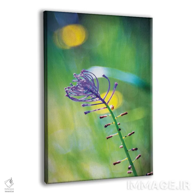 تابلو دکوراتیو گل بنفش اثر مارکو کارماسی - نمای پرسپکتیو محصول