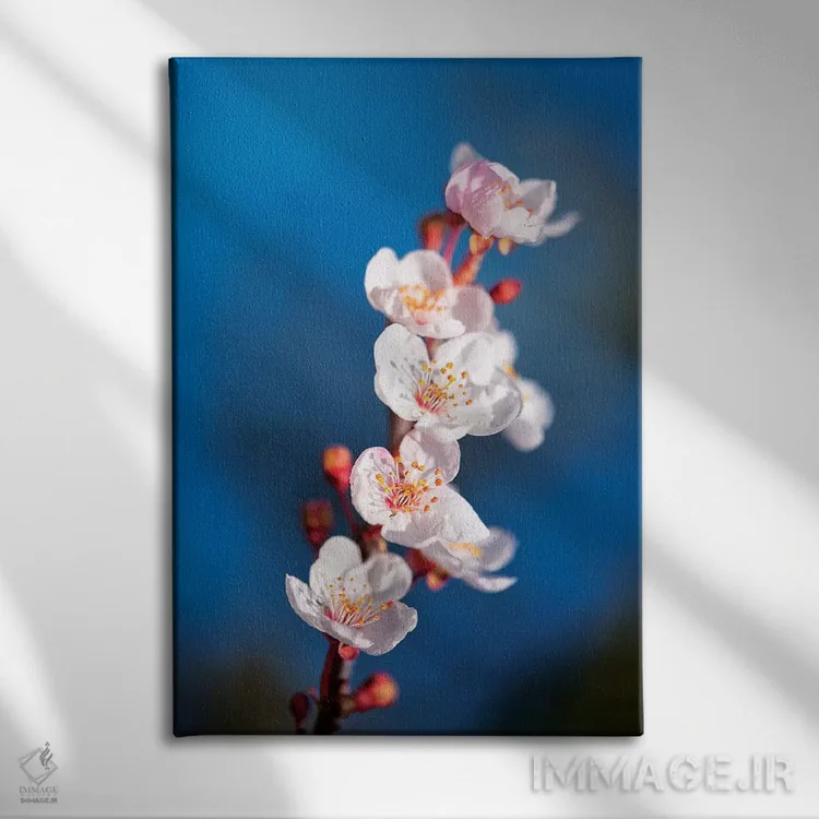 تابلو دکوراتیو بهار ساکورا اثر مارکو کارماسی - نمای روبهرو روی دیوار