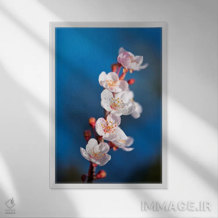 تابلو دکوراتیو بهار ساکورا اثر مارکو کارماسی - نمای قابدار سفید