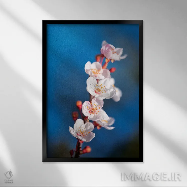 تابلو دکوراتیو بهار ساکورا اثر مارکو کارماسی - نمای قابدار مشکی