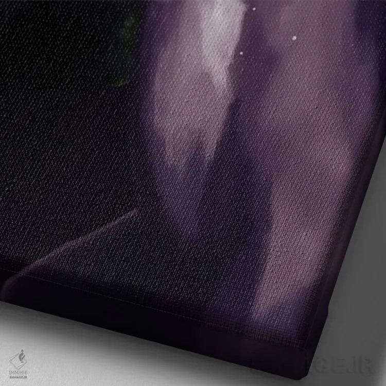 تابلو مدرن زیبایی سیاه XVI اثر مارسیا آلک - نمای نزدیک بافت بوم