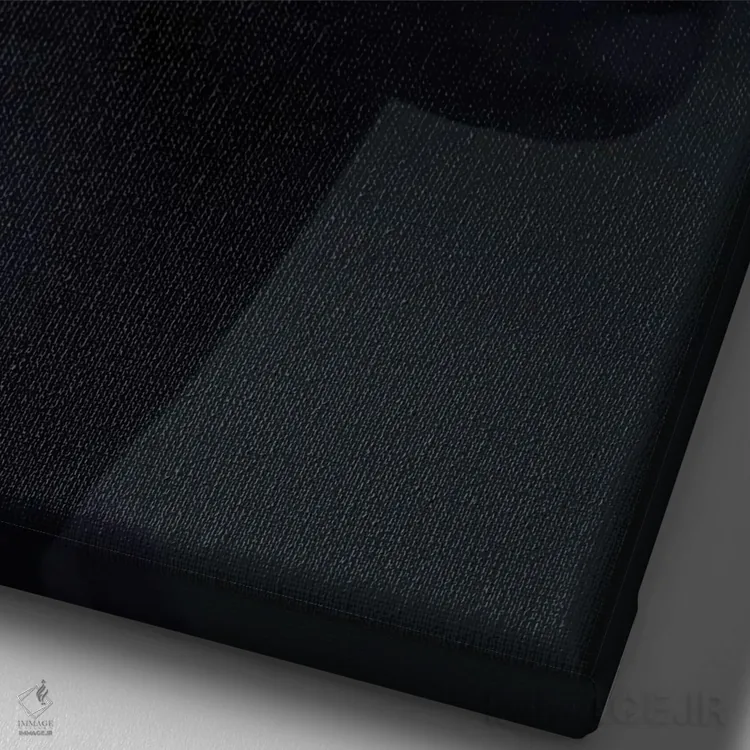 تابلو مدرن زیبایی سیاه XVII اثر مارسیا آلک - نمای نزدیک بافت بوم